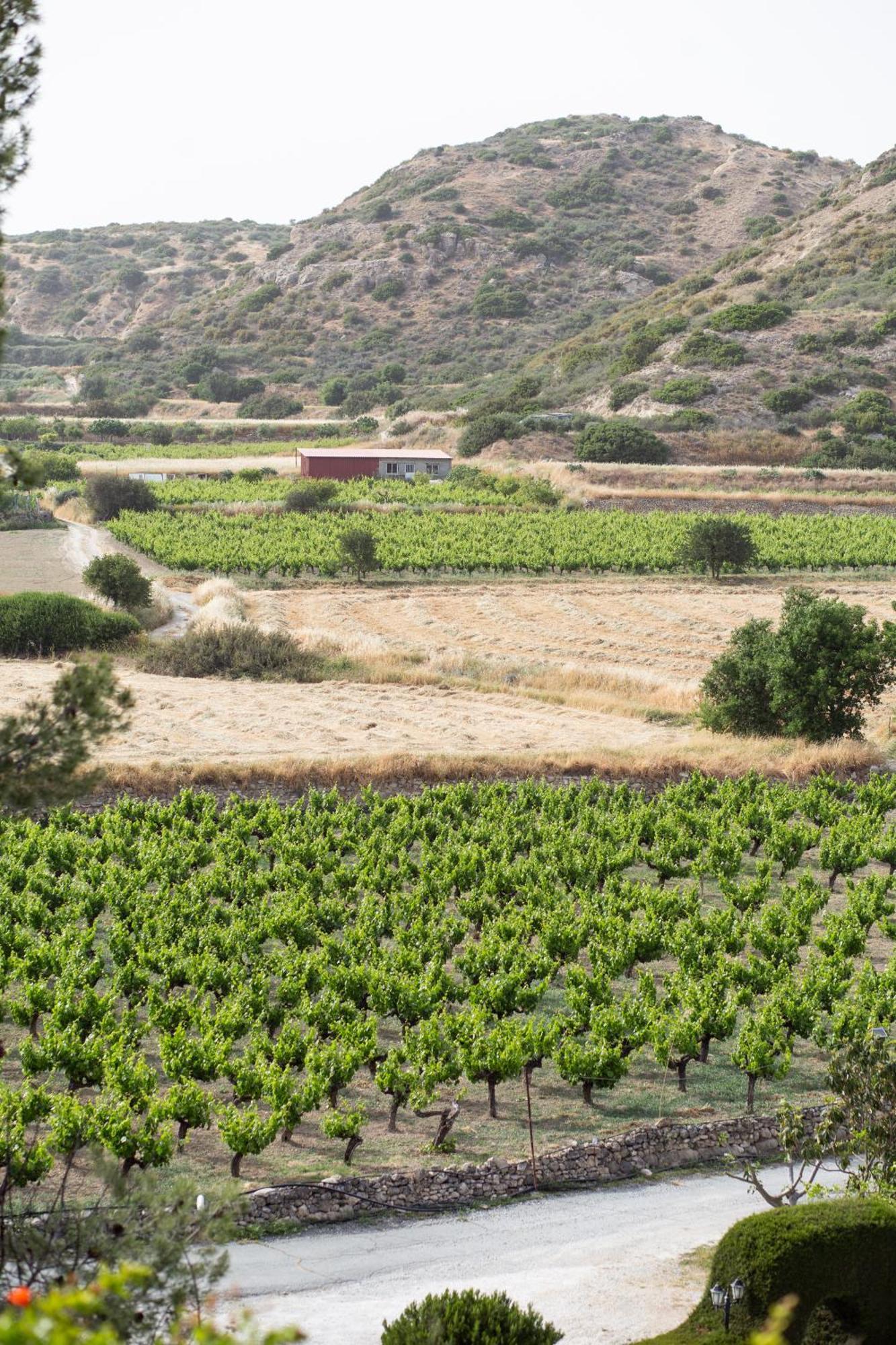 Vina Oliva Resort Pissouri Exterior foto